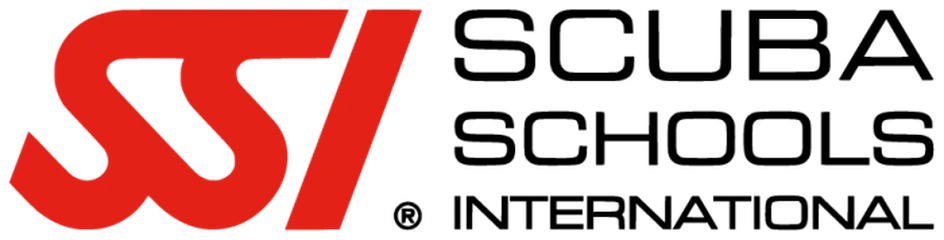 SSI